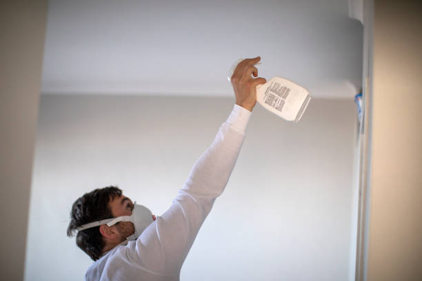 Best DIY Mold Remediation Support Services in Marshall, TX