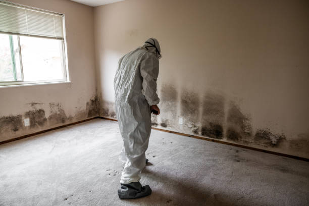 Best Bathroom Mold Remediation in Marshall, TX