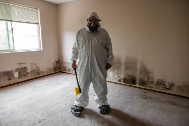 Best Post-Flood Mold Remediation in Marshall, TX