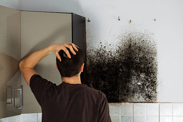 Professional Mold Remediation in Marshall, TX